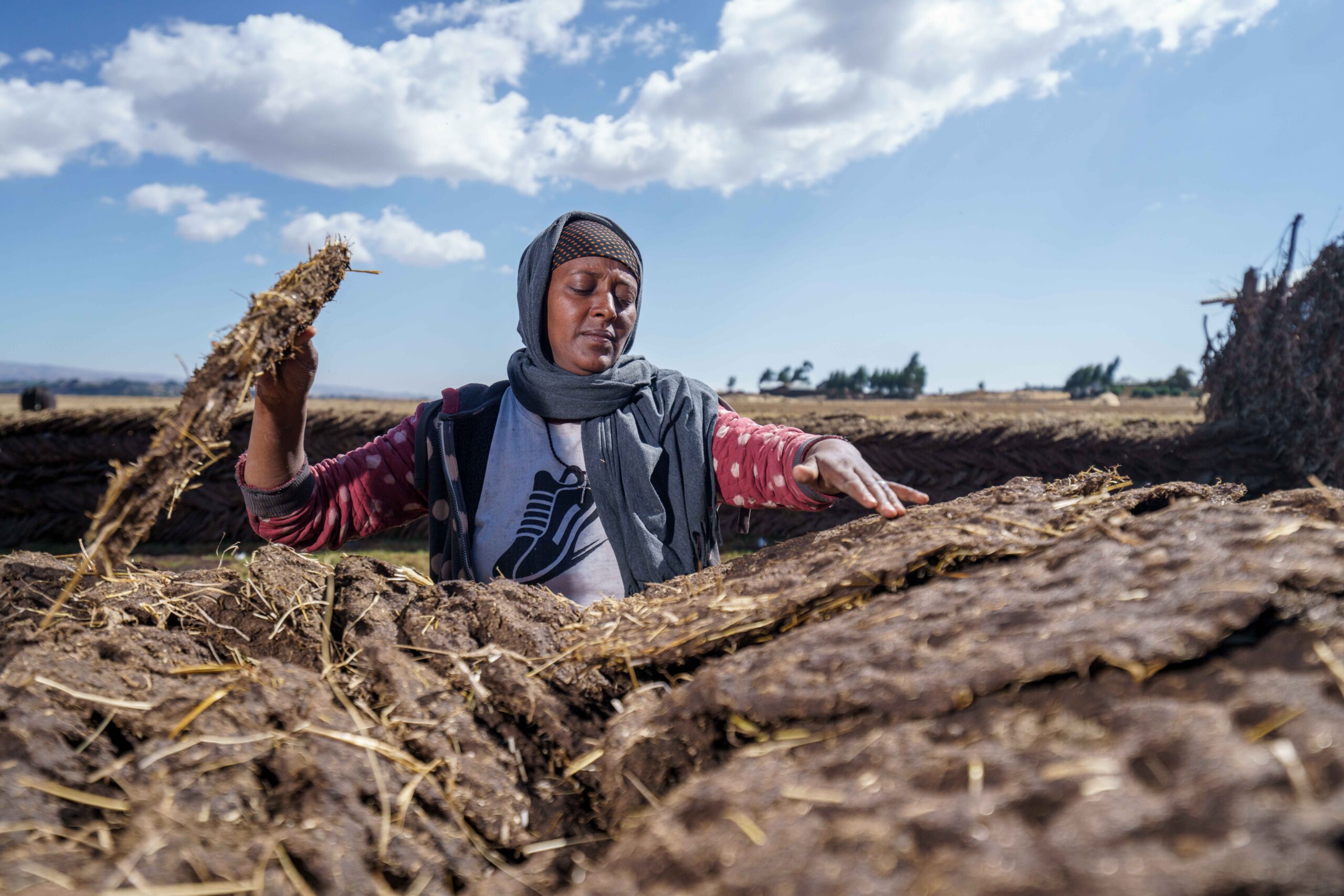 Ethiopian farmer cultivating crops in an agricultural field